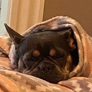 Meet your Posher, Patrick